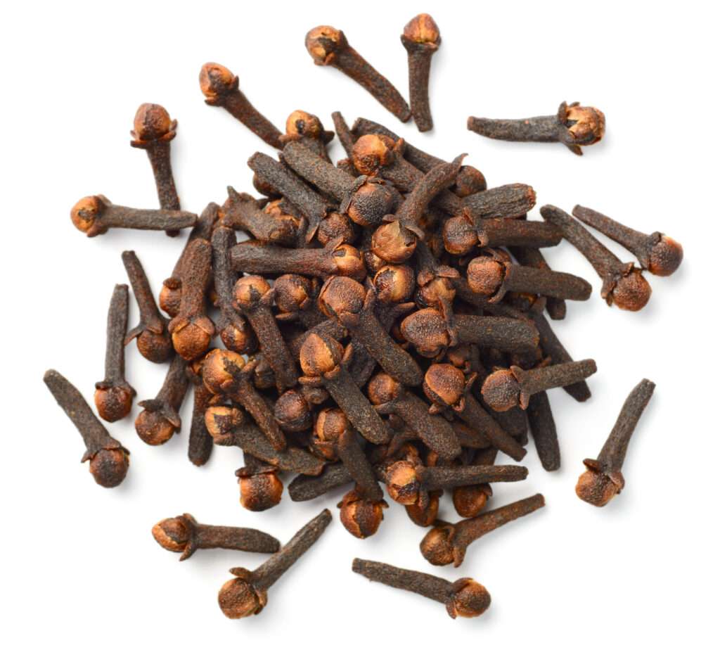 Mace flower-3