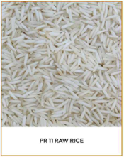PR 11 Sella Rice