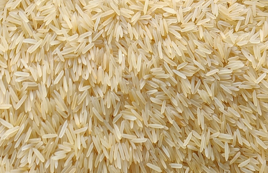 Sugandha Raw Rice