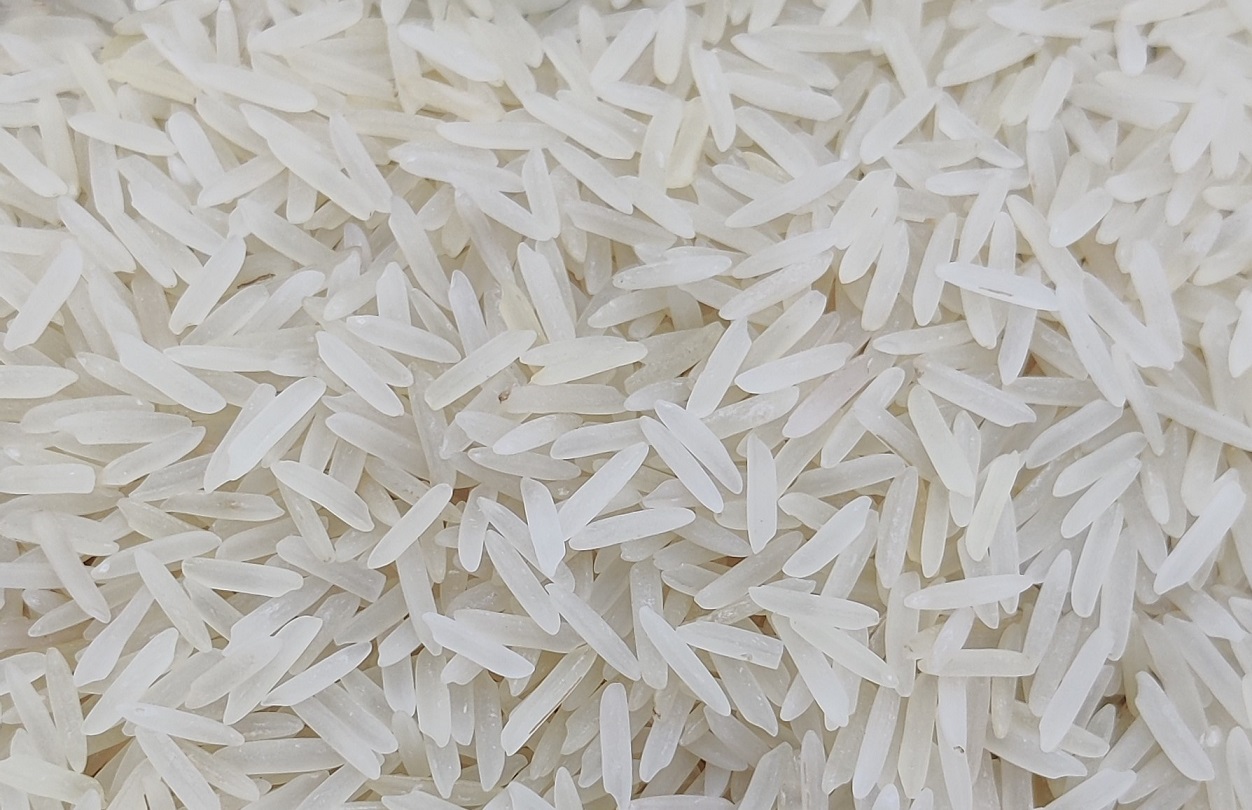 1509 Raw Basmati Rice
